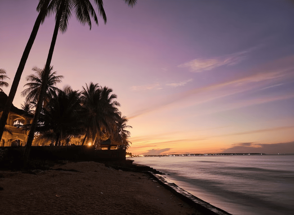 B&atilde;i Rạng l&uacute;c b&igrave;nh minh